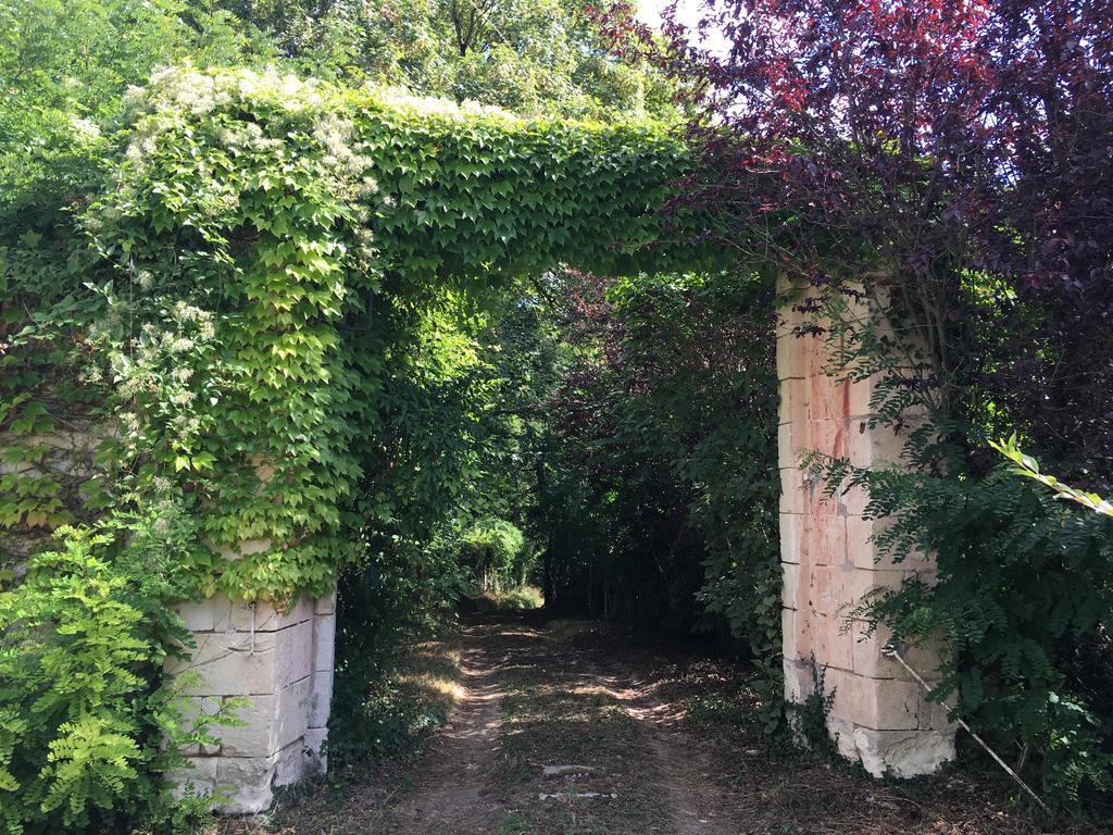 Apartamento Les Terrasses De Chaumont 1 Montsoreau Exterior foto